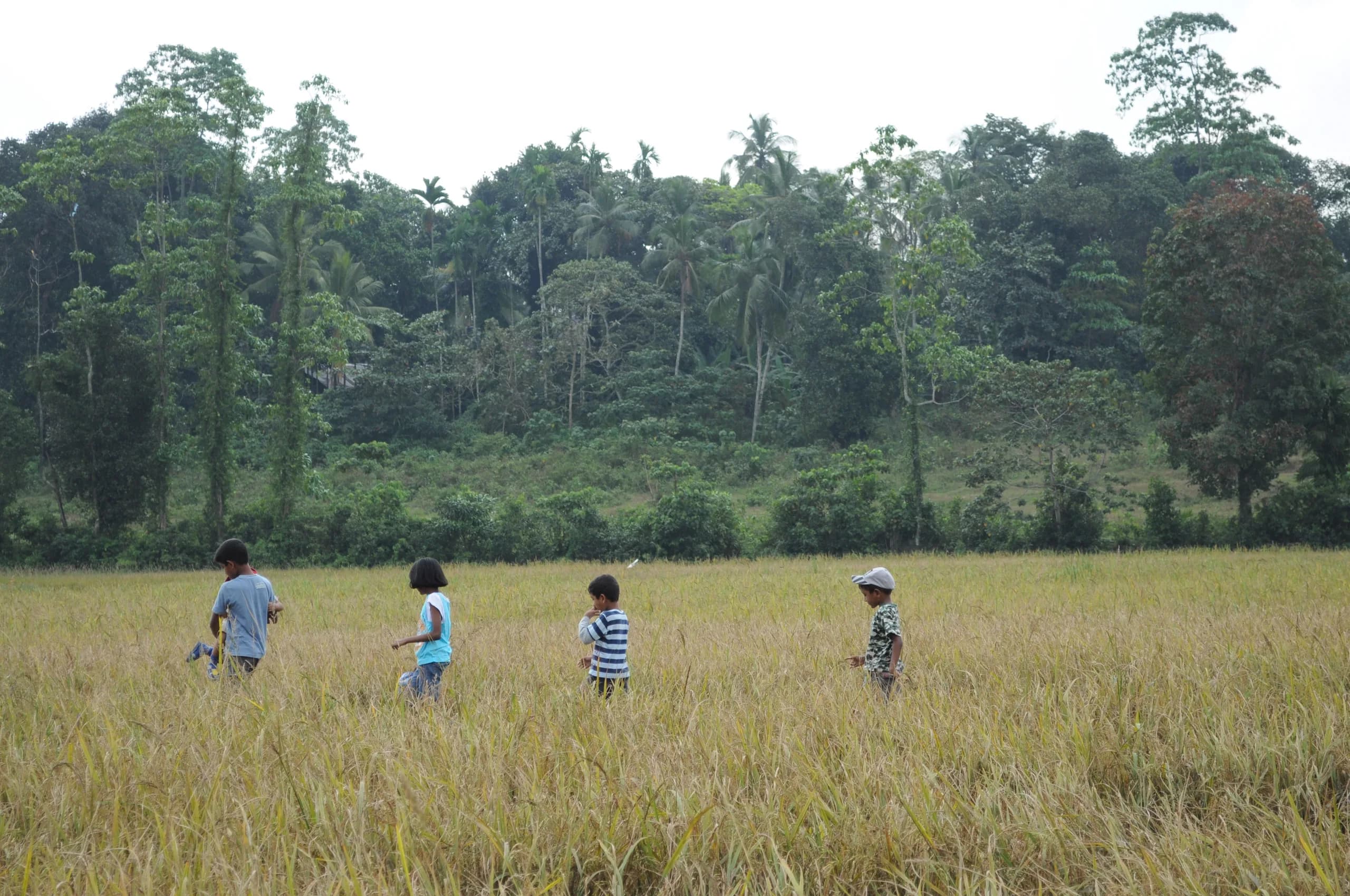 Children on a nature walk through open fields